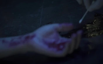 Free Video Stock taking a blood sample at a crime scene
