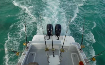 Free Video Stock taking a fishing trip out at sea