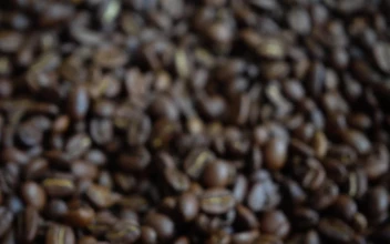 Free Video Stock taking a handful of coffee beans