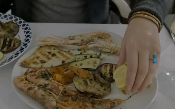 Free Video Stock taking a photo of seafood