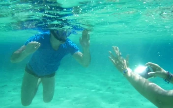 Free Video Stock taking a photo underwater