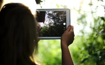 Free Video Stock taking photos of a field