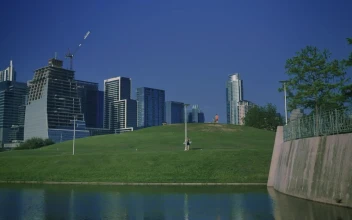Free Video Stock tall buildings surrounding a natural park in a city