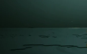 Free Video Stock tangerine rolling on a surface with water