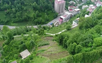 Free Video Stock tea terrace at the edge of a village