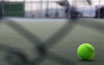 Free Video Stock tennis ball on the ground of a court