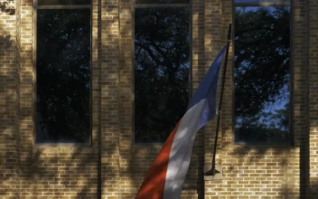 Free Video Stock texas flag waving on a building wall