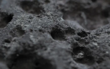 Free Video Stock texture of a gray rock detail view
