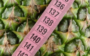 Free Video Stock texture of a green pineapple and a measuring tape
