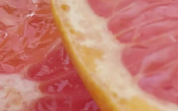 Free Video Stock texture of fresh grapefruit slices