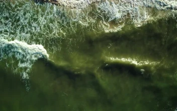 Free Video Stock texture of sea waves reaching the beach