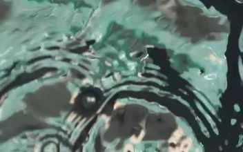 Free Video Stock texture of the water surface when droplets fall on it