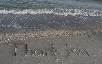 Free Video Stock thank you on the beach