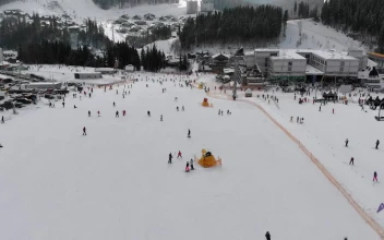 Free Video Stock the landscape of skiers on the mountain forest