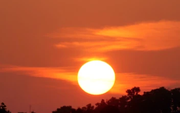 Free Video Stock the sun goes down behind a tree line