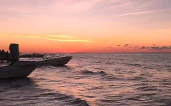 Free Video Stock the sunset near the seashore