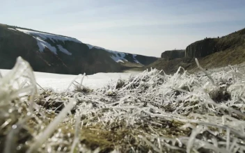 Free Video Stock thick frost covering grass