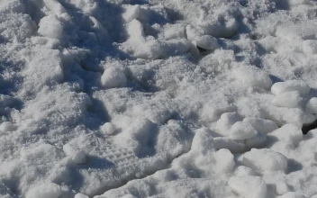 Free Video Stock thick ice covering the ground