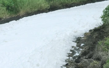 Free Video Stock thick layer of foam covering a path
