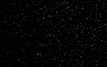 Free Video Stock thick snow falling in slow motion