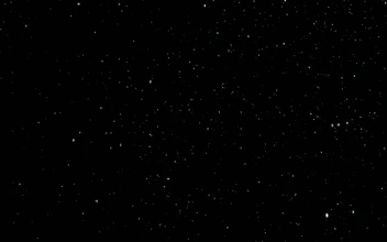 Free Video Stock thick snow falling slowly