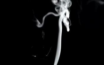 Free Video Stock thin line of smoke rising from the ground