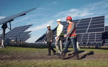 Free Video Stock three engineers working on a solar panel field