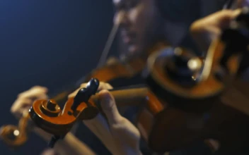 Free Video Stock three talented violinists playing together