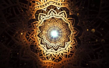 Free Video Stock through a tunnel of golden d flower shaped plates