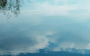Free Video Stock throwing a stone into a lake