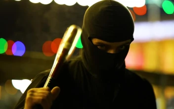 Free Video Stock thug with baseball bat