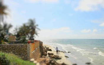 Free Video Stock tilt shift of people walking on windy beach