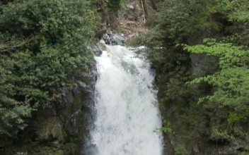 Free Video Stock tilt shot of a waterfall in slow motion