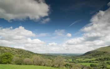 Free Video Stock time lapse of a green meadow