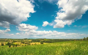 Free Video Stock time lapse of a landscape in the field