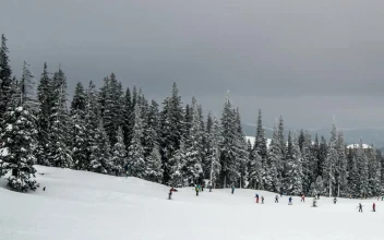 Free Video Stock time lapse of a ski area with tourists practicing