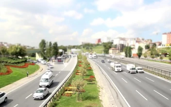 Free Video Stock time lapse of a sunny day in an avenue
