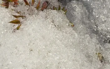 Free Video Stock time lapse of melting ice