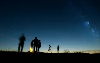 Free Video Stock time lapse of people stargazing