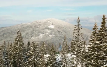Free Video Stock time lapse of pine filled winter mountains