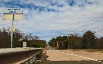 Free Video Stock timelapse of a country road
