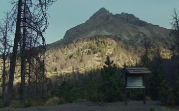 Free Video Stock timelapse of a hiking area