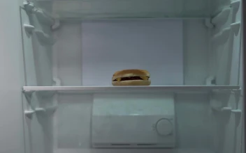Free Video Stock timelapse of man putting groceries in fridge