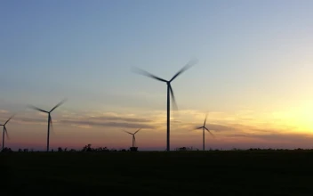 Free Video Stock timelapse of wind turbines