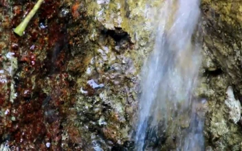 Free Video Stock tiny waterfall in a cracked rock