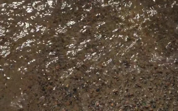 Free Video Stock tiny waves breaking on the shore