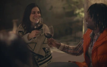 Free Video Stock toast between friends with glasses of wine