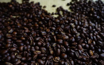 Free Video Stock toasted coffee beans on a sack