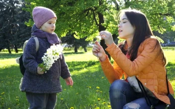Free Video Stock toddler holding flowers