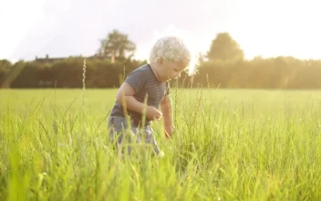 Free Video Stock toddler picking grass